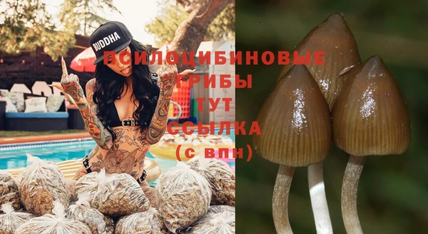 а пвп мука Саяногорск