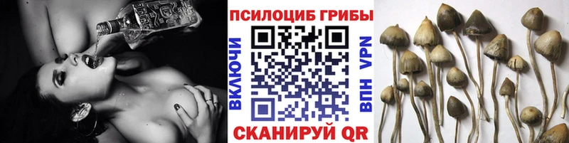 Псилоцибиновые грибы мицелий  Кяхта 